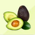 Масло авокадо